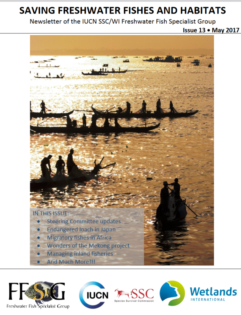 Issue 13: May 2017 Steering Committee updates Endangered loach in Japan Migratory fishes in Africa Wonders of the Mekong project Managing inland fisheries And Much More .......