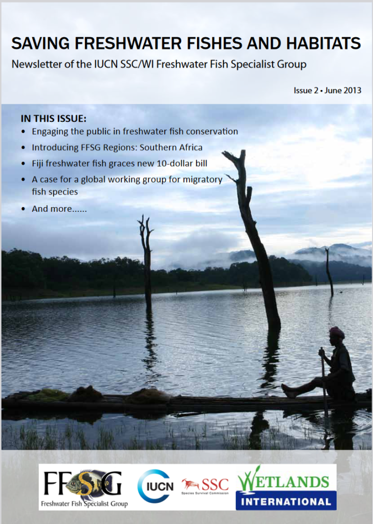Front cover of FFSG Newsletter June 2013