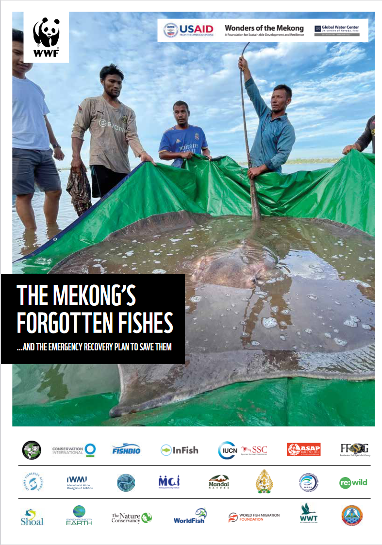 The Scoop Net Brigade - Mekong Fish Network