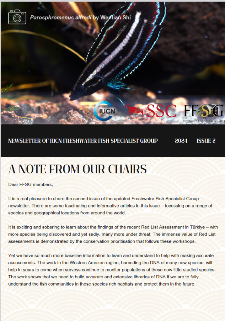 FFSG Spring Newsletter 2024 Cover. Banner is a small, dark, irridescent fish with an apparently continuous fin around the body and tail, striped in greens, black and blue. It is Parosphromenus alfredi by Wentian Shi