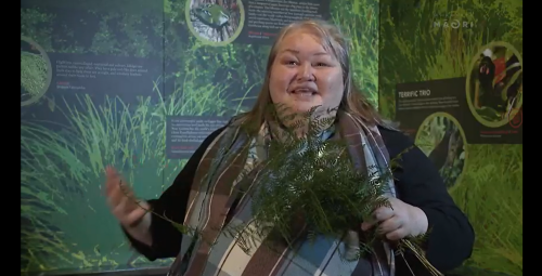 Lady in chequered scarf, against a background of posters showing the fish relocation project.  She is holding a bunch of fernlike plants. 